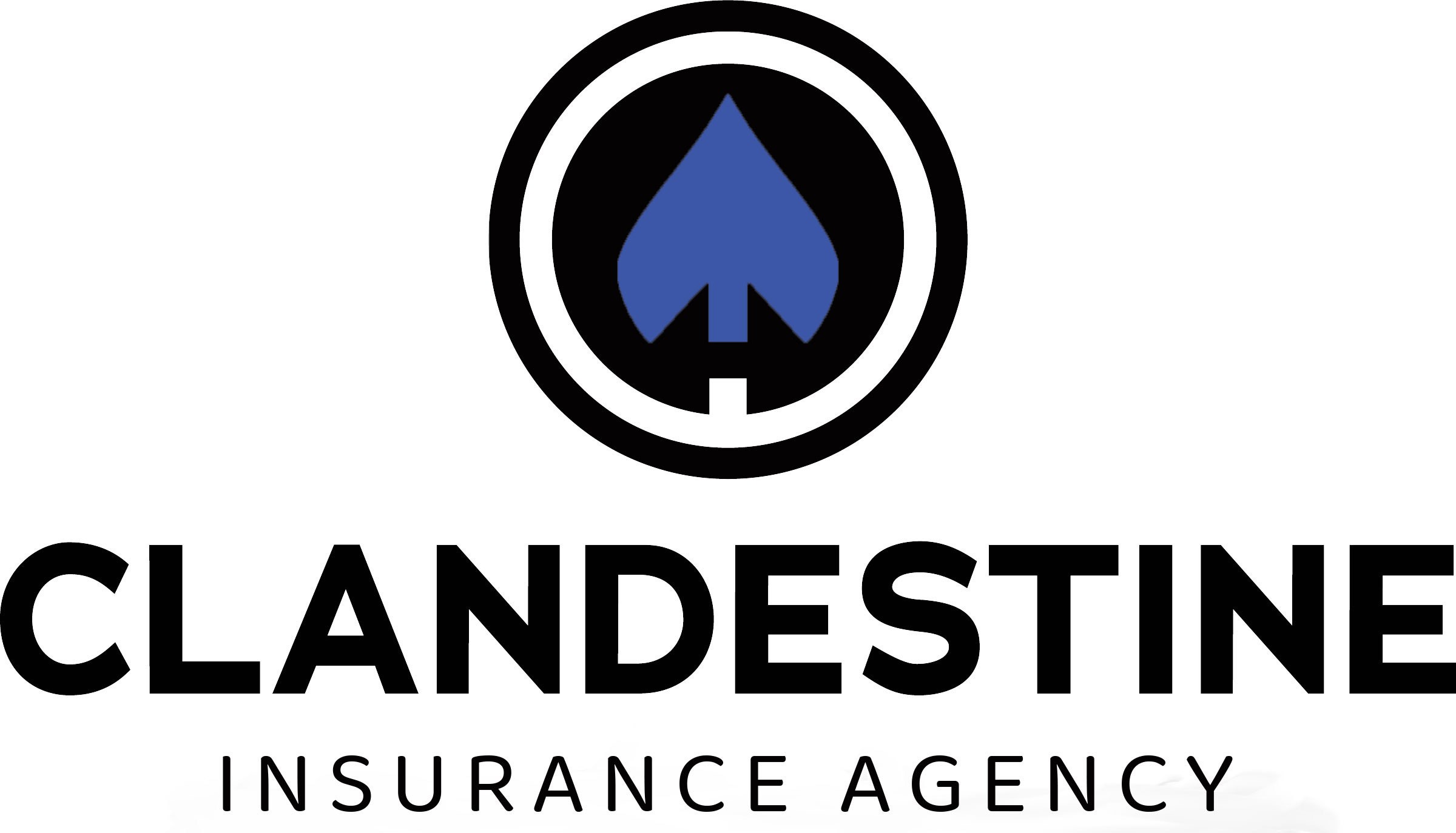 Clandestine Insurance Agency